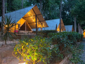 Amar Camp Taman Negara Kuala Tahan
